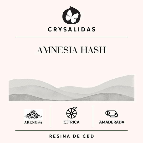 Amnesia Hash