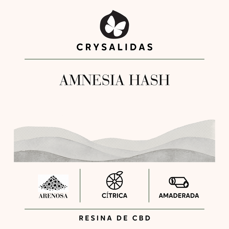 Amnesia Hash