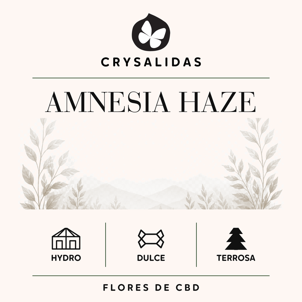 Amnesia Haze