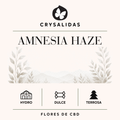 Amnesia Haze