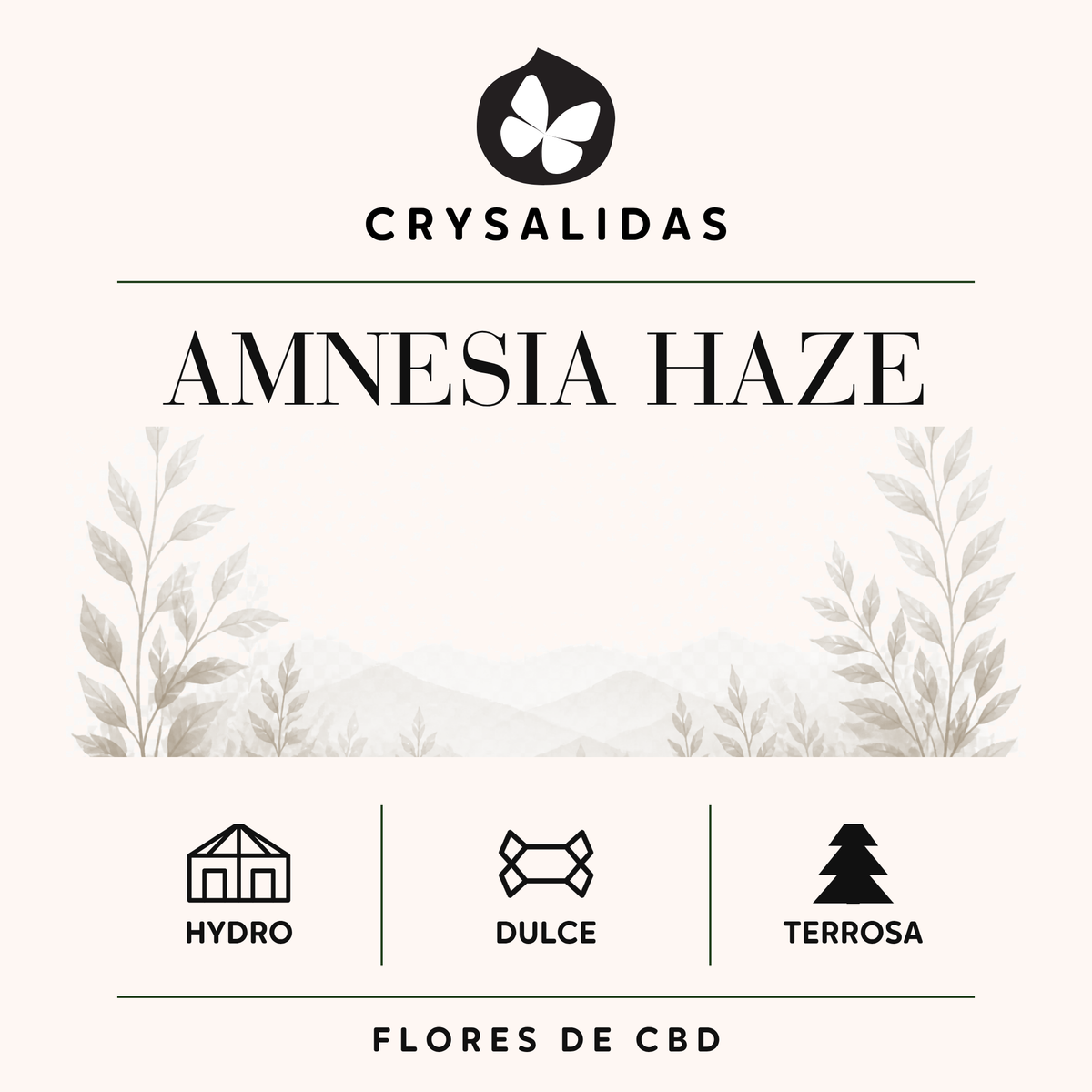 Amnesia Haze