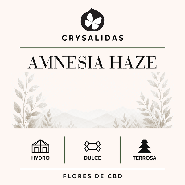 Amnesia Haze