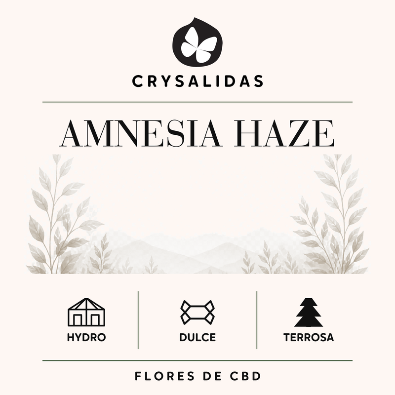 Amnesia Haze