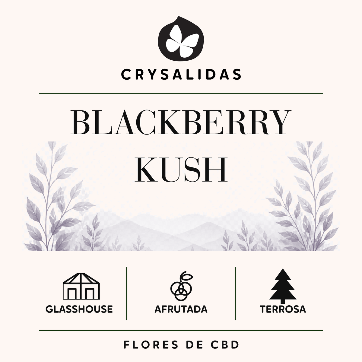 Blackberry Kush