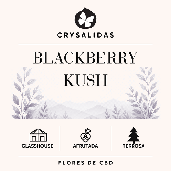 Blackberry Kush