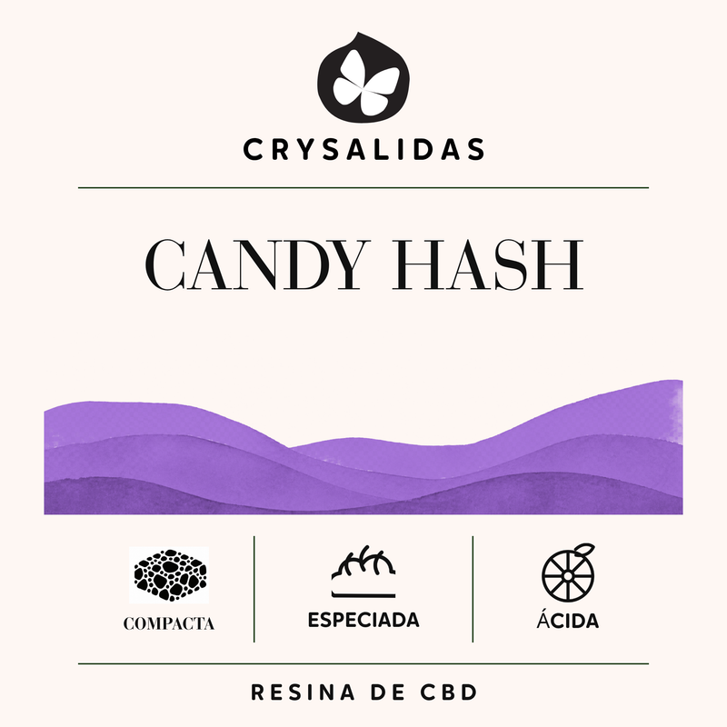Candy Hash Crysalidas: resina de CBD de textura compacta, aroma especiado y matiz ácido.