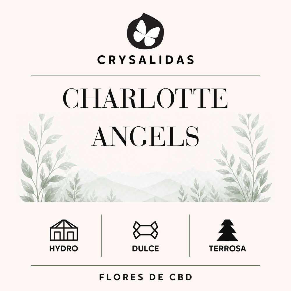 Charlotte's Angels