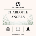 Charlotte's Angels
