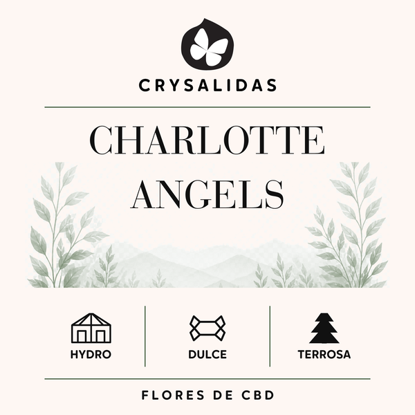 Charlotte's Angels
