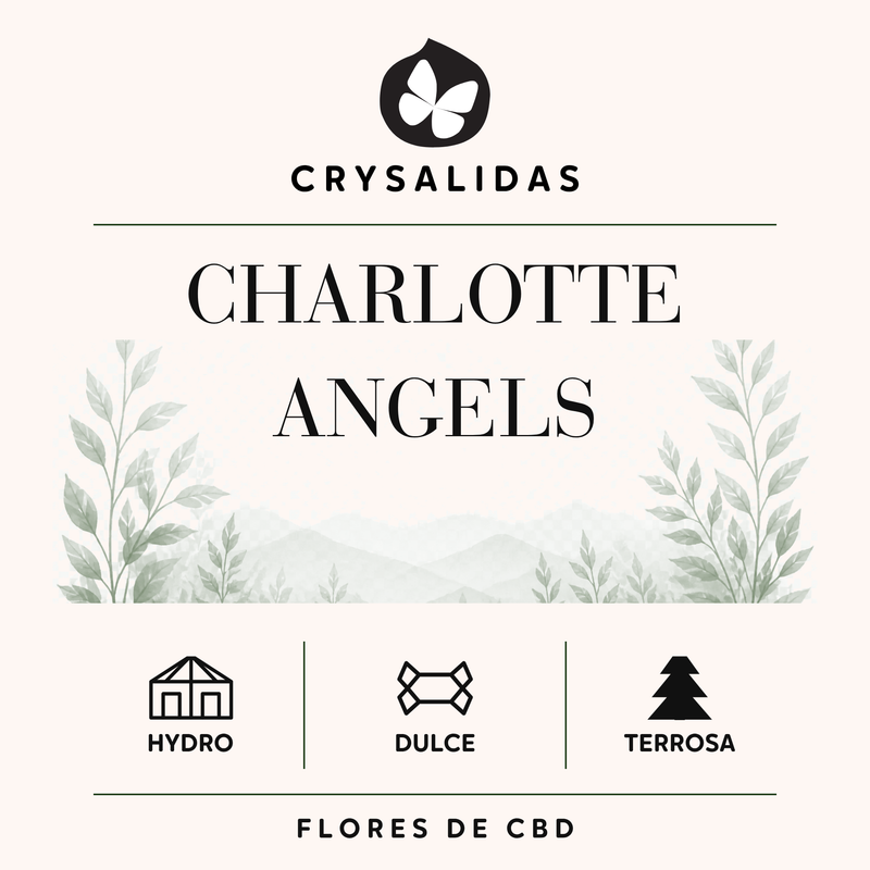 Charlotte's Angels