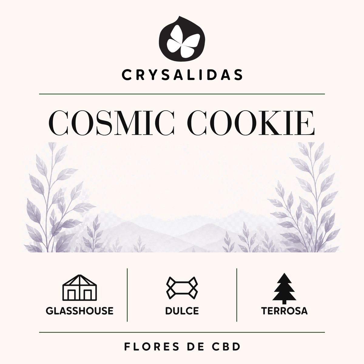 Cosmic Cookie