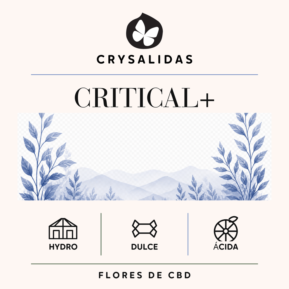 Critical+