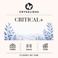 Critical+