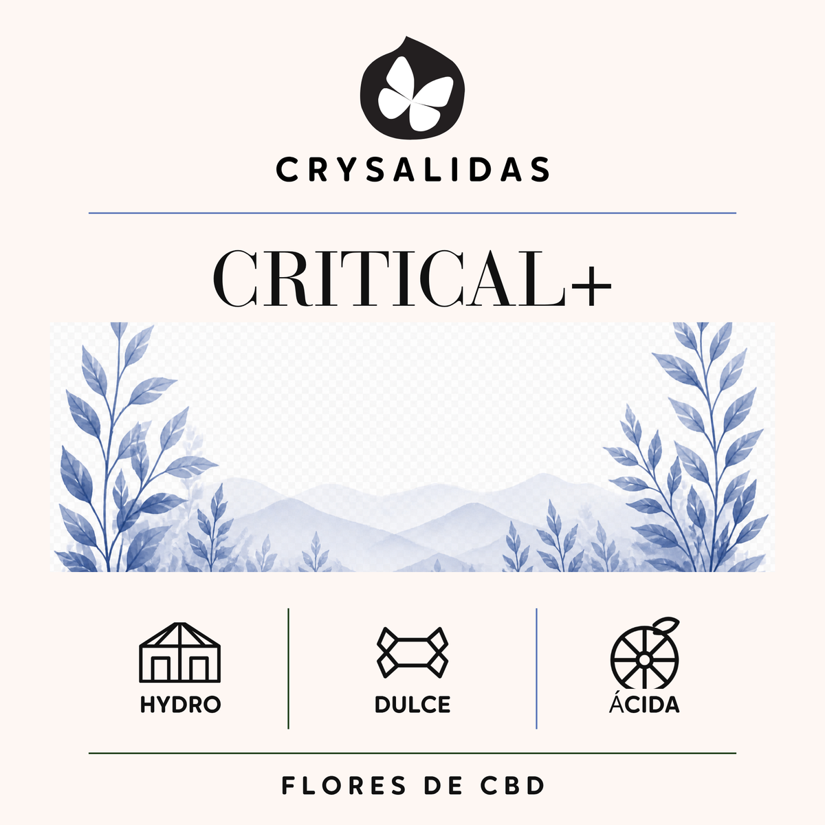 Critical+