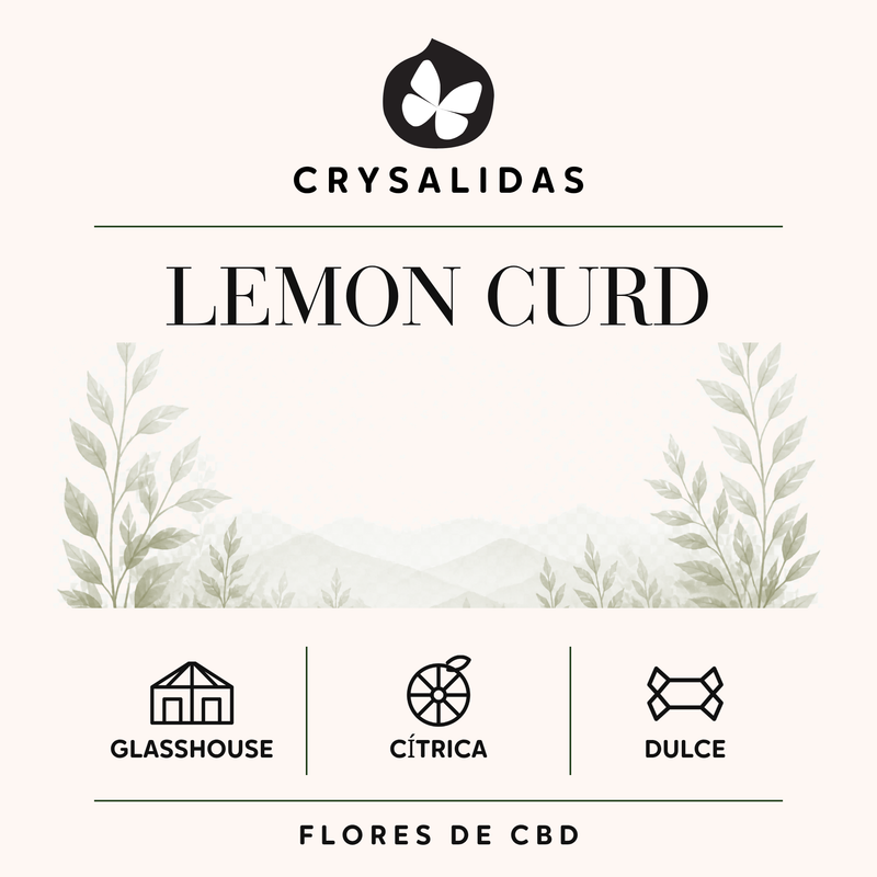 Lemon Curd