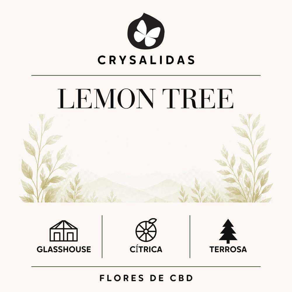 Lemon Tree