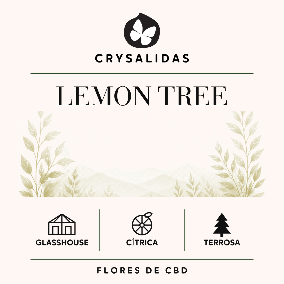 Lemon Tree