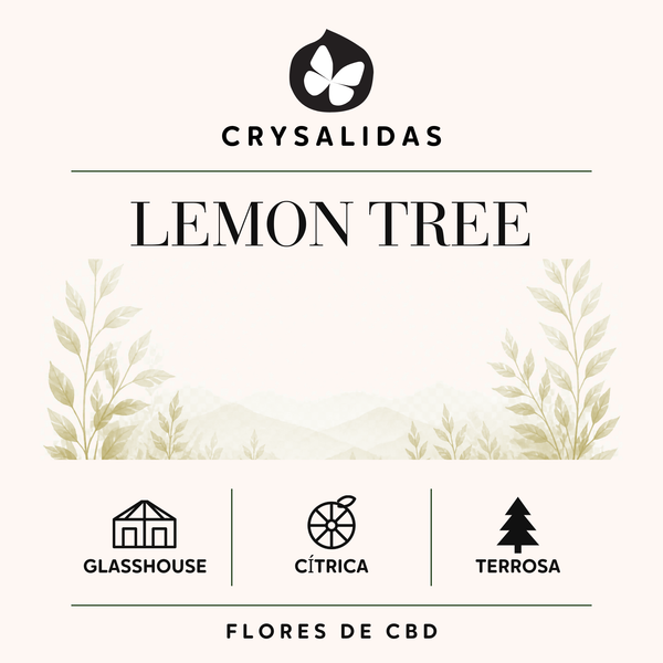 Lemon Tree