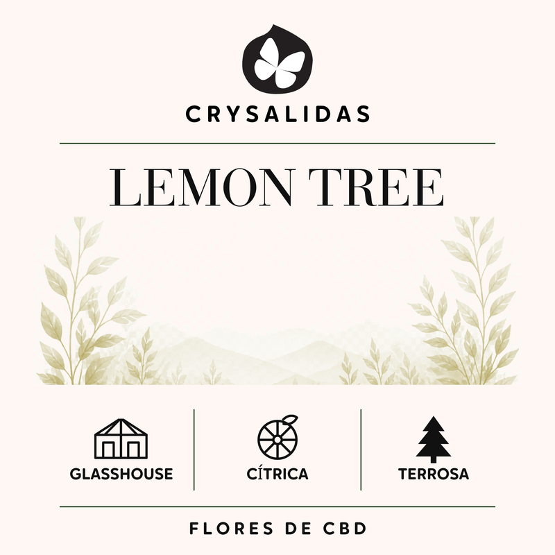 Lemon Tree