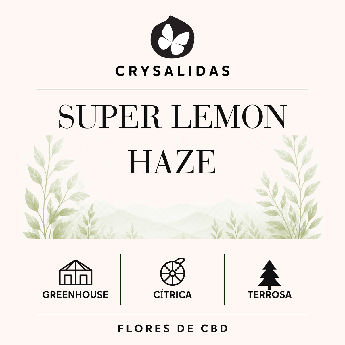 Super Lemon Haze