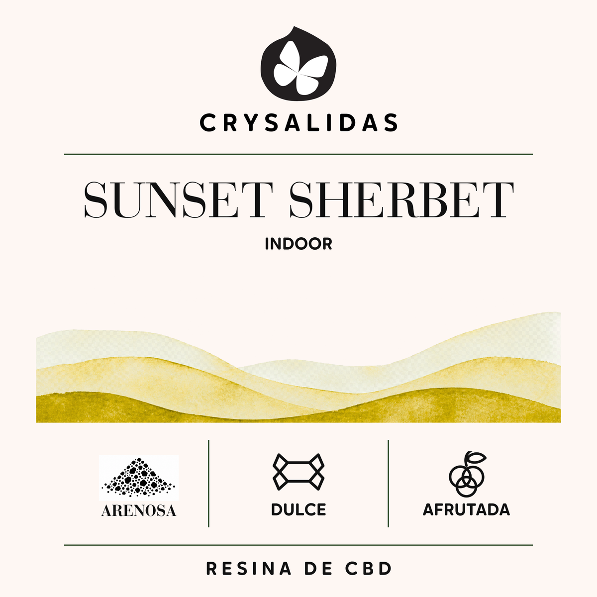 Sunset Sherbet Indoor