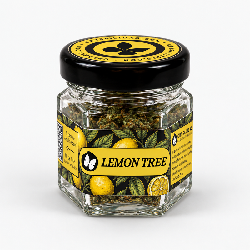Lemon Tree