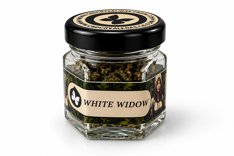 White Widow Glasshouse CBD
