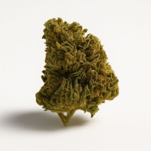 Ak-47 Glasshoue