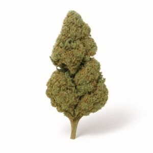 Flor.Candy .Kush .Glasshoue.Premium