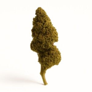 Flor.Lemon .Haze .Glasshouse