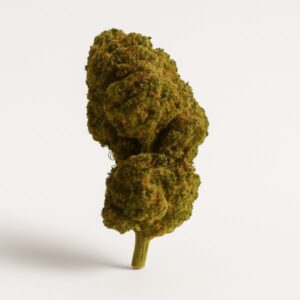 Mango Kush Indoor