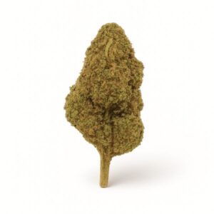 Super Silver Haze