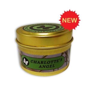 Charlotte Angels Hydroponica CBD