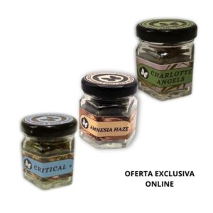 Pack Flores Hidropónicas CBD