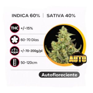 Critical Autofloreciente