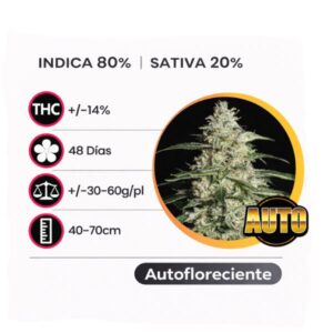 Superskunk Autofloreciente