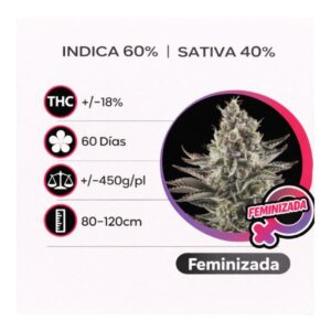 White Widow Feminizada